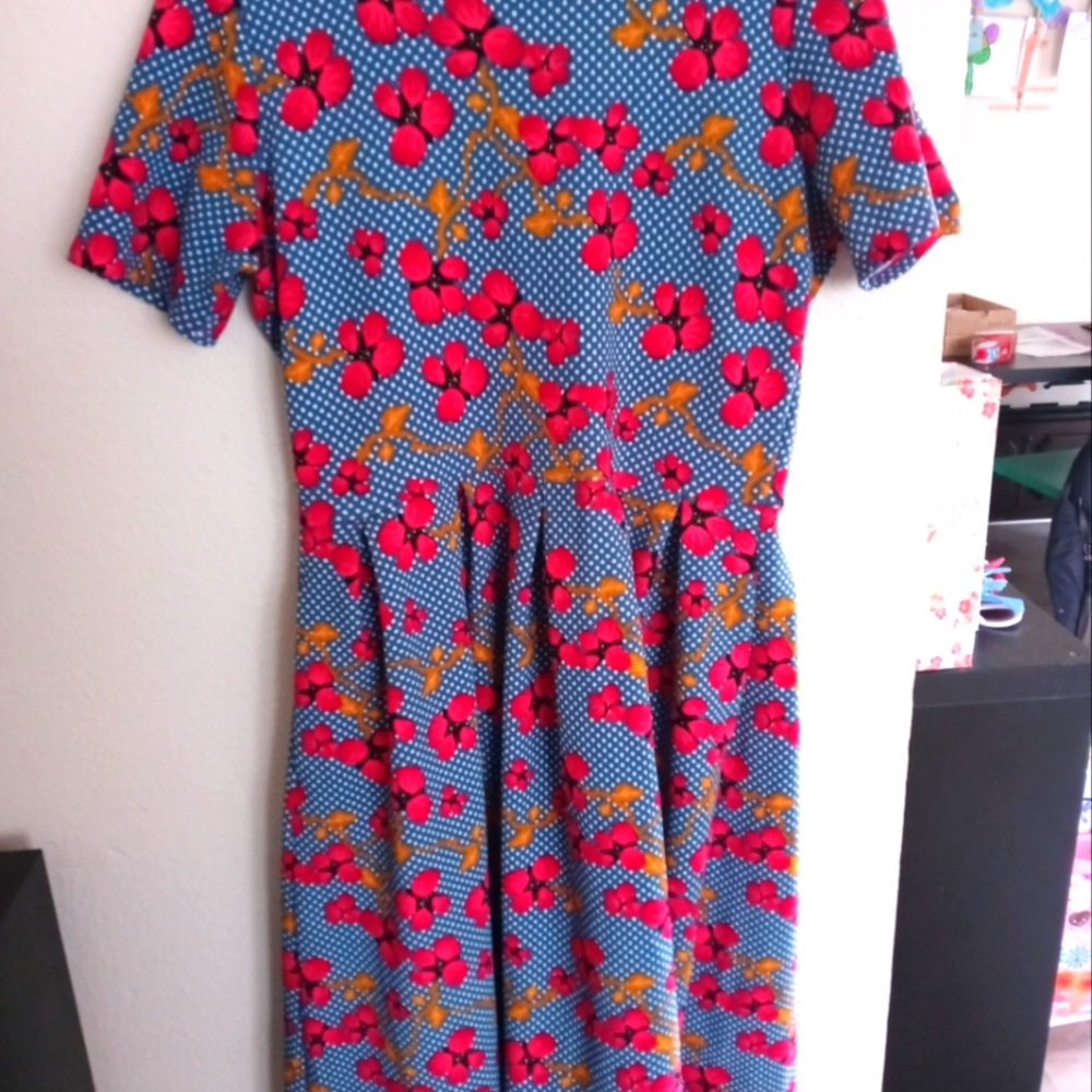 Lularoe patterned dress with pockets